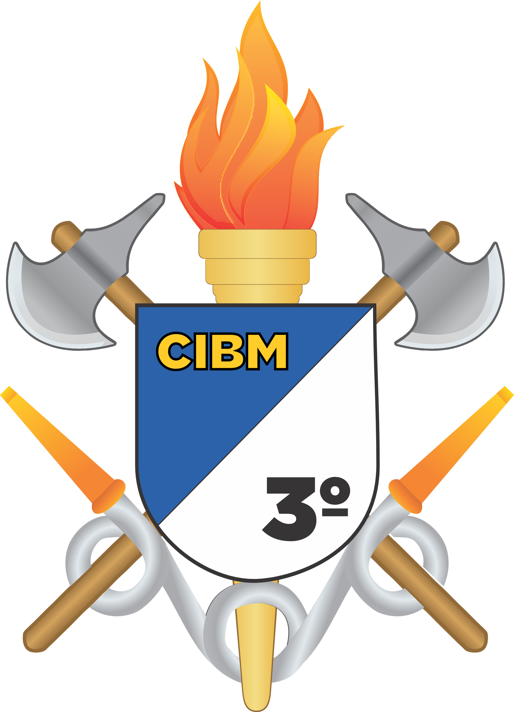 3ºCIBM