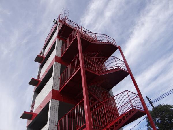 Corpo de Bombeiros captura cascavel de 1m em área residencial em